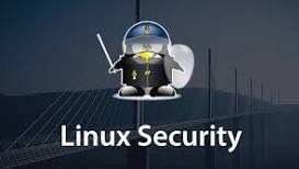 Linux Security Shield: Defend Your Linux System Against Common Vulnerabilities for a Worry-Free Digital Experience